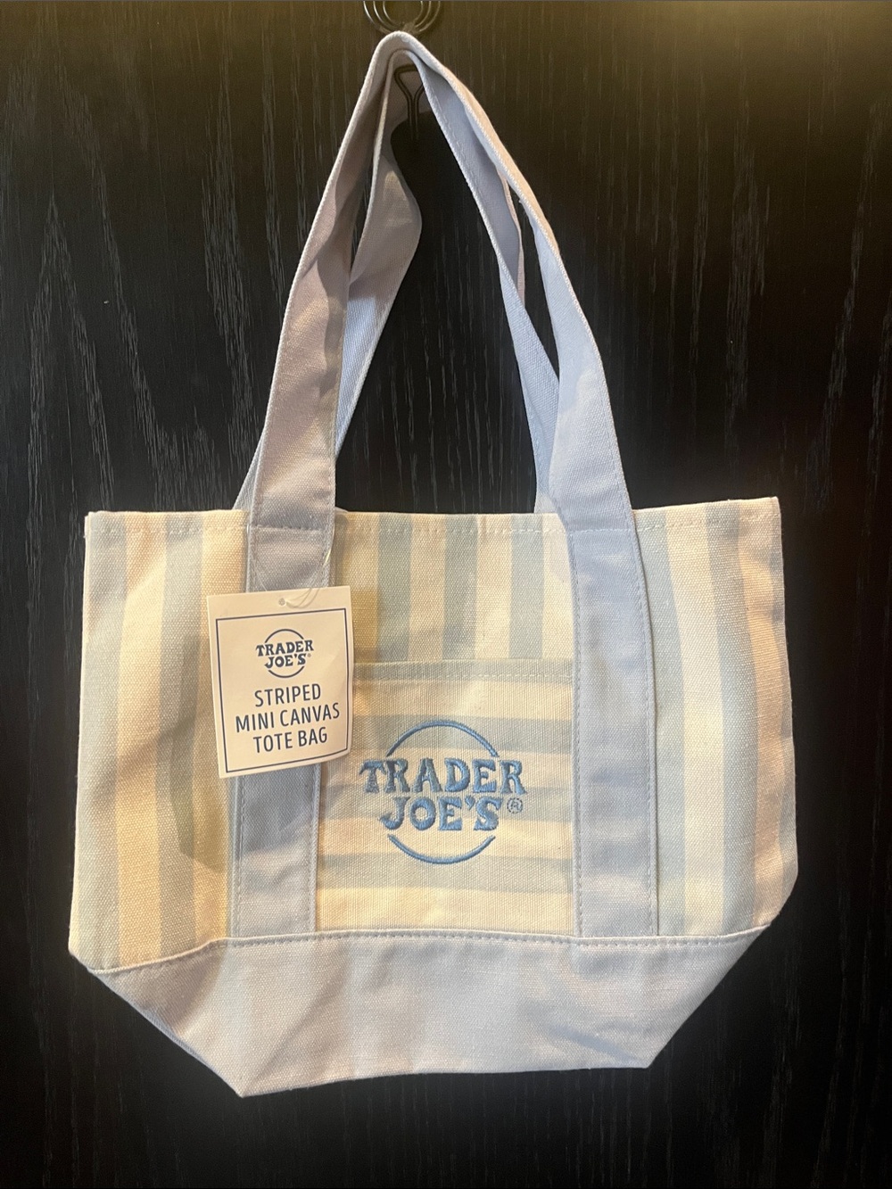 Trader Joe's Striped Mini Canvas Tote - Light Blue & Cream